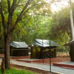 Camp Landa: Where Adventure, Nature, and Lifelong Memories Come Together