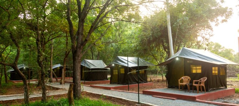 Camp Landa: Where Adventure, Nature, and Lifelong Memories Come Together