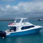 How to Navigate the Galapagos Ferry System Without Getting Stranded